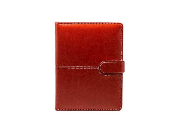 <b>Director - Tan</b><br> A5 Premium Organiser