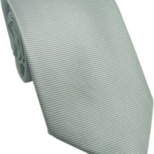 QT 289 Silver
