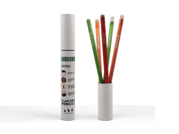 <b>Seed Pencil</b> Pencil set with seeds of 5 different plants - Image 3
