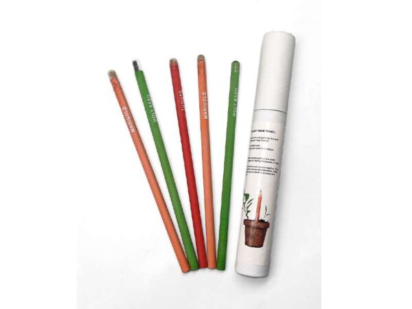 <b>Seed Pencil</b> Pencil set with seeds of 5 different plants - Image 2