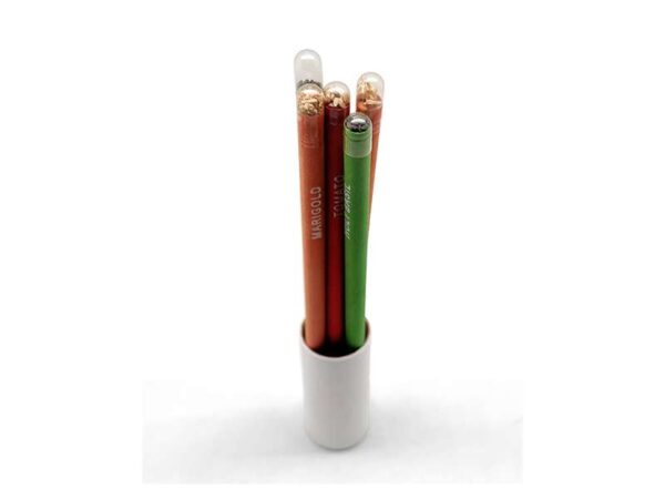 <b>Seed Pencil</b> Pencil set with seeds of 5 different plants - Image 4