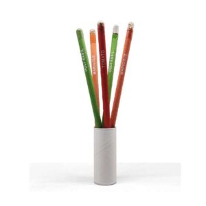 <b>Seed Pencil</b> Pencil set with seeds of 5 different plants