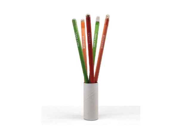 <b>Seed Pencil</b> Pencil set with seeds of 5 different plants