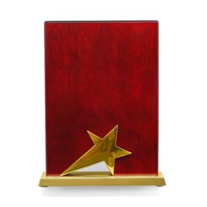 <b>Tabit Trophy</b> (Gold)