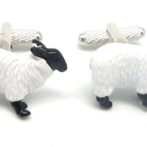 White Sheep