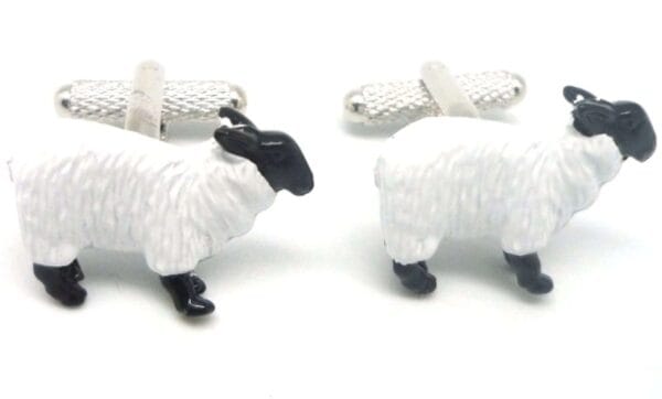 White Sheep