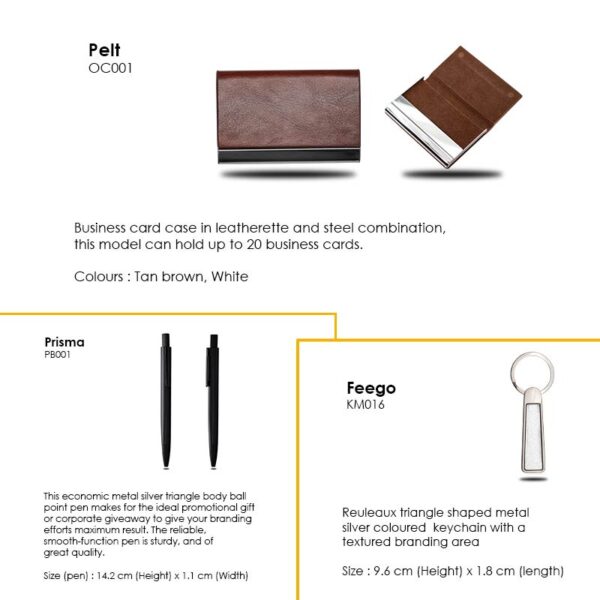 <b>Pelisma Cardcase set</b> With business card case, metal silver triangle body ball point pen & keychain - Image 2